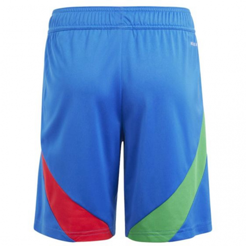 Italy Away Shorts EURO 2024