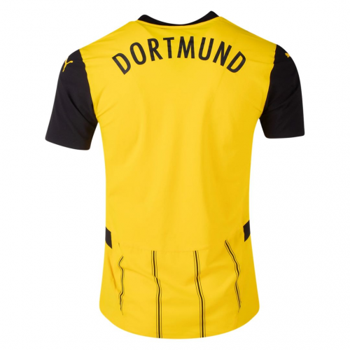 Borussia Dortmund Home Match Jersey 2024/25