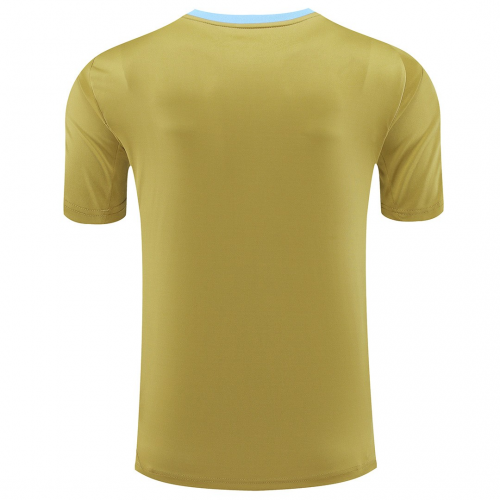 Argentina Pre-match Jersey Golden Copa America 2024