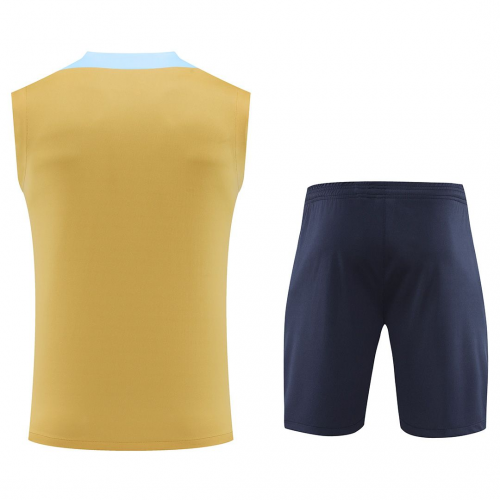 France Pre-Match Sleeveless Kit Yellow Euro 2024